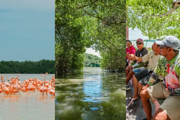 Gobierno de Yucatán y Cultur impulsan turismo sustentable en Celestún