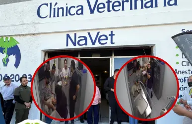 VIDEO | Ataca clienta a veterinaria en un hospital para mascotas de Durango