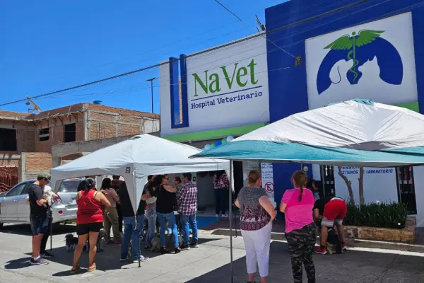 Colegio de Médicos Veterinarios de Durango fija su postura tras agresión en Clínica NaVet