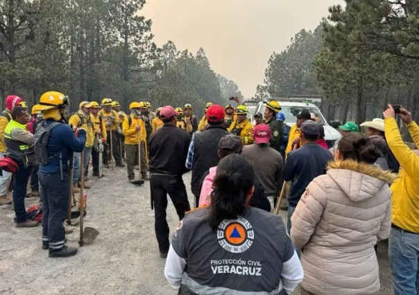 Incendio forestal en Valle de Perote consume 200 hectáreas de bosque en Veracruz