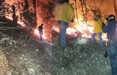 Sigue estas recomendaciones para evitar incendios forestales en Durango