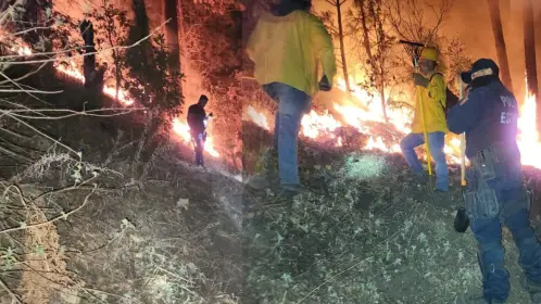 Sigue estas recomendaciones para evitar incendios forestales en Durango