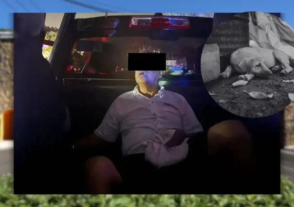 Detenido por golpear hasta la muerte a un perro en Kanasín
