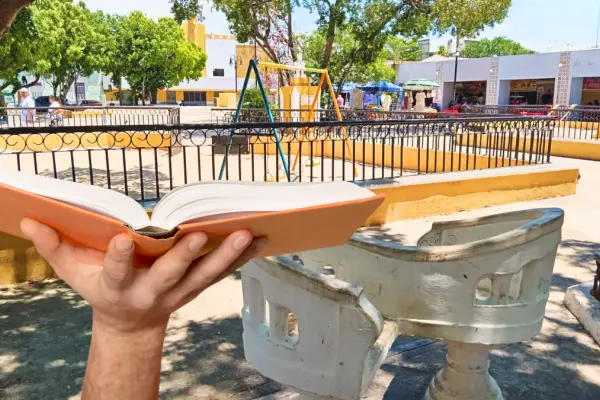 Buscan crear microbiblioteca de barrio en el parque de Santiago