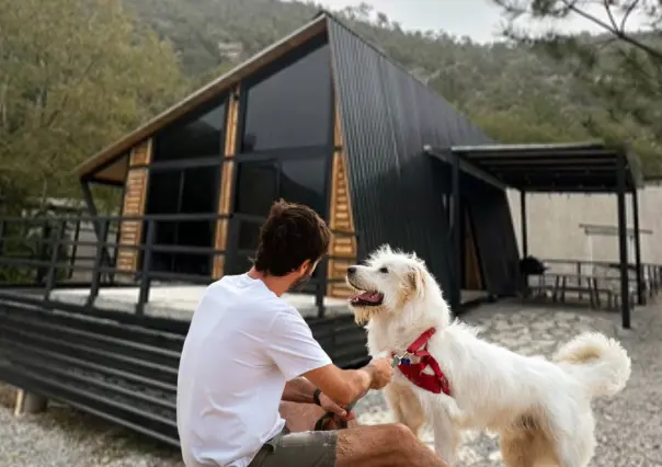 Conoce las cabañas pet friendly a 1 hora de Monterrey