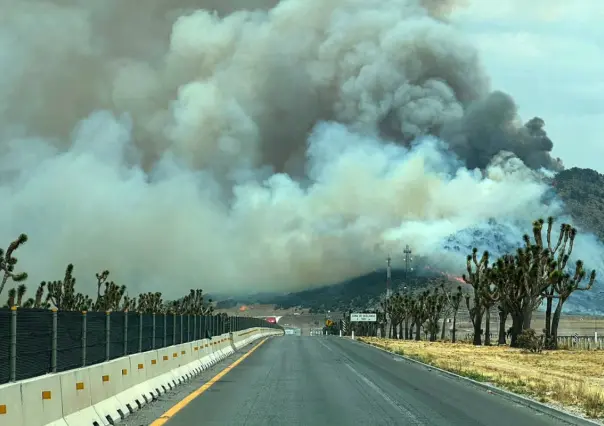 Arrasa incendio en Huachichil, incontrolable a causa de fuertes vientos