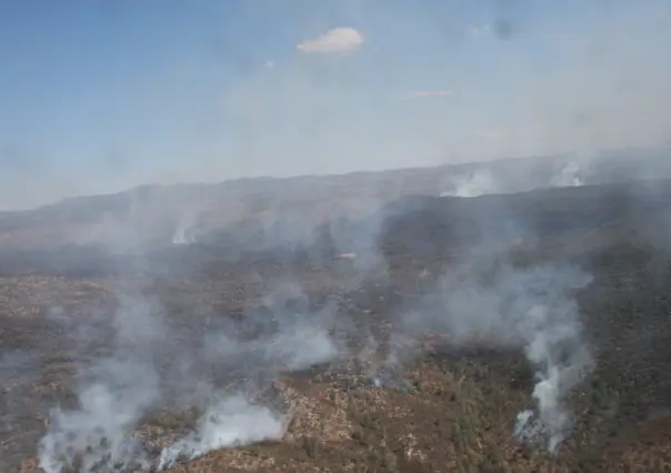 ¿Cuál es el municipio de Durango con mayor superficie afectada por incendios forestales?