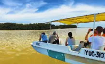 ¿Cuánto cuesta el tour en lancha en la Ría Celestún?