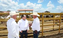 Yucatán impulsa el campo y la ganadería con programas de modernización