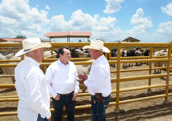 Yucatán impulsa el campo y la ganadería con programas de modernización