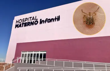 Indagan muerte de niño por picadura de garrapata en Saltillo