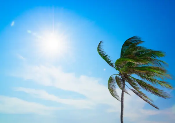 Se intensifica el calor en Tamaulipas mientras se esperan chubascos y fuertes rachas de viento