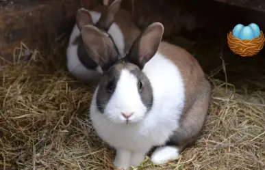 El Zoológico Sahuatoba invita a disfrutar de la Pascua en sus instalaciones 