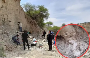 Encuentran restos de mamut en este municipio de Tamaulipas