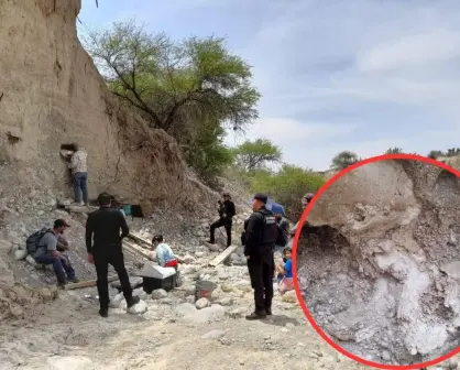 Encuentran restos de mamut en este municipio de Tamaulipas