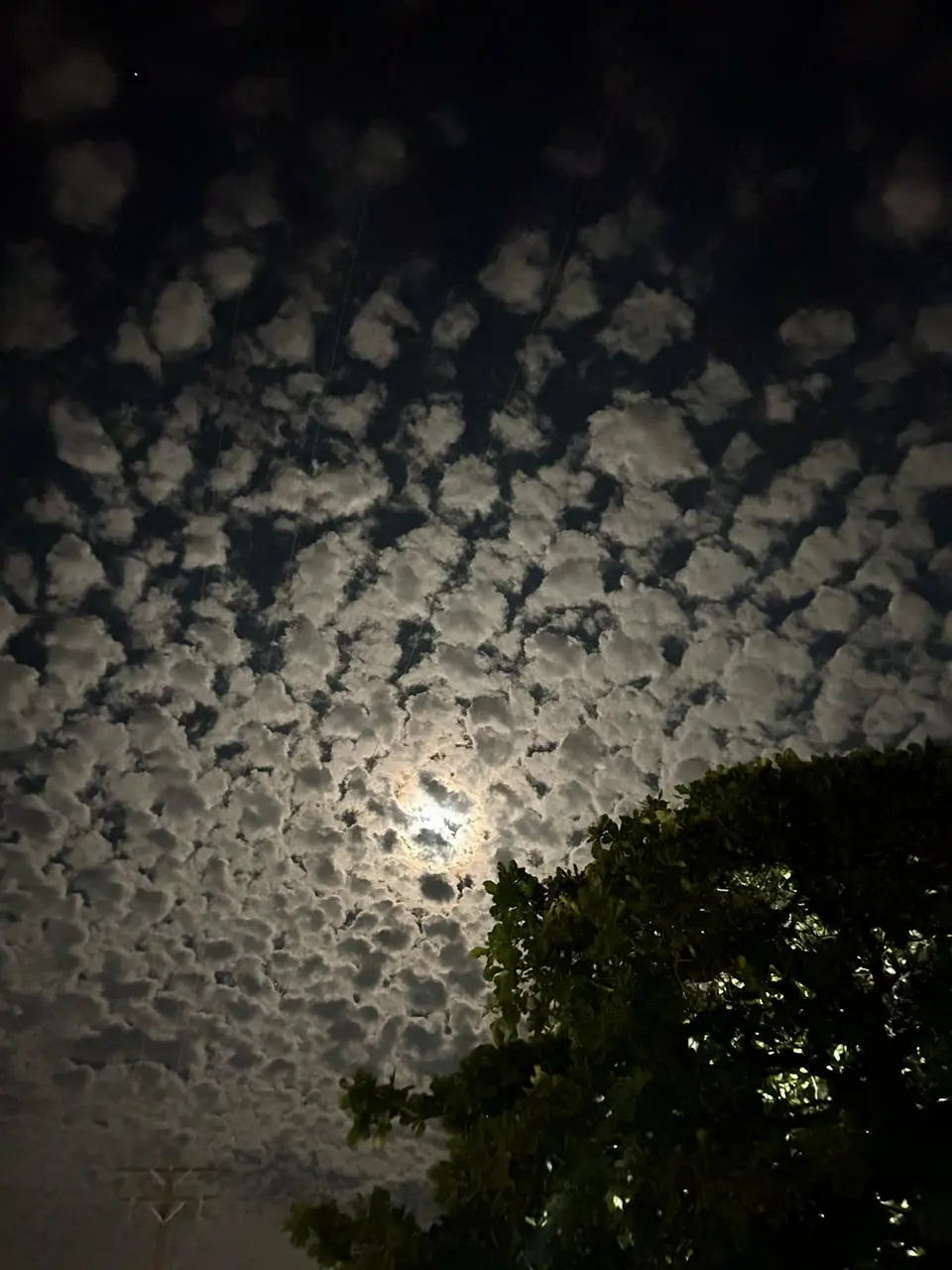 imagen recuadro Foto: Ivette Pérez/POSTA BCS.