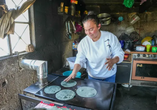 Este es el programa en Tlaxcala que sustituye fogones tradicionales por estufas ahorradoras