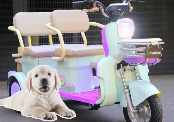 Evobike: esta es la ideal si llevas mascotas