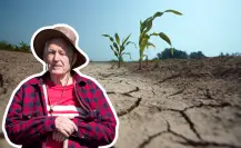 La Laguna permanece en sequía severa, causará estragos en cultivos