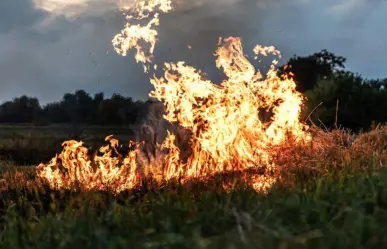 ¡A tiempo! Edomex detecta incendios forestales en solo 14 minutos