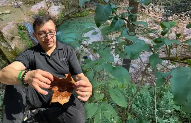 Andares. ¿Cómo es el Parque Natural La Estanzuela que está en Monterrey?