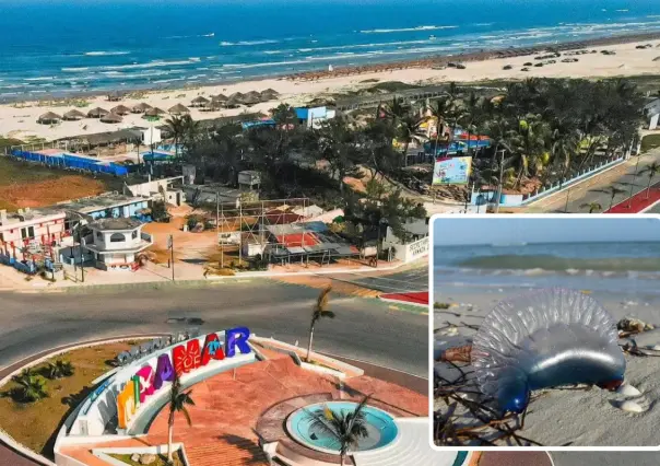 Semana Santa concluye con saldo blanco en Playa Miramar; picaduras de medusa, lo más atendido