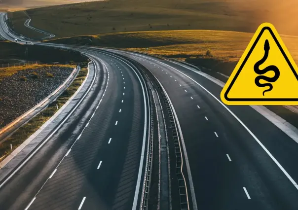 La fauna silvestre que podrías encontrar en la autopista Durango - Torreón