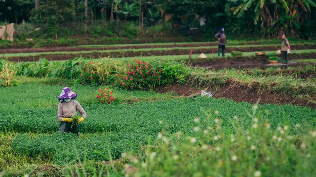Arranca el registro para Transformando el Campo 2025 en Edomex