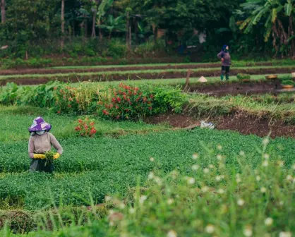 Arranca el registro para Transformando el Campo 2025 en Edomex