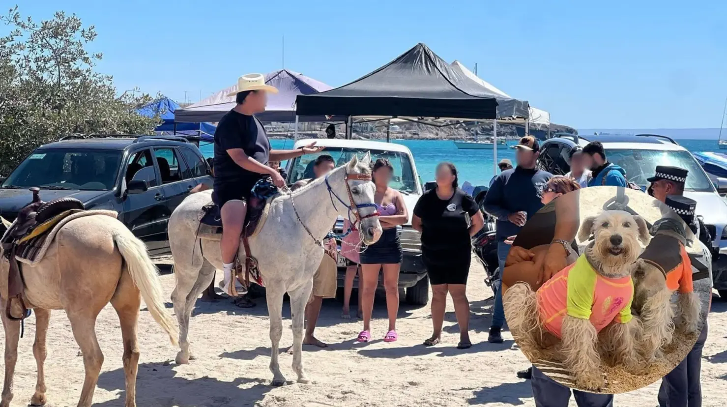Los responsables del servicio de paseos a caballo no contaban con autorización para operar en la playa, según la denuncia. Foto: Facebook / My Wonder Woman - La Paz