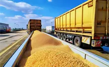 ¿Qué materiales puede movilizar el transporte de carga en Tamaulipas? ¿Qué materiales puede movilizar el transporte de carga en Tamaulipas?