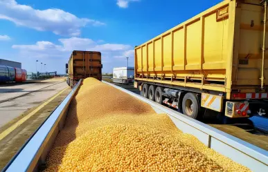 ¿Qué materiales puede movilizar el transporte de carga en Tamaulipas?