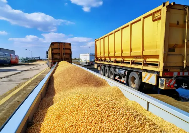 ¿Qué materiales puede movilizar el transporte de carga en Tamaulipas?