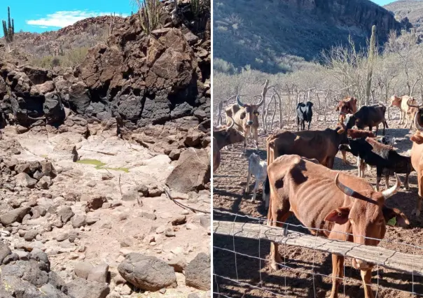 ¿Nos estamos quedando sin agua en BCS? Así avanza el riesgo del Día Cero