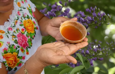 Árbol nativo de Yucatán que sus flores sirven para crear una bebida medicinal