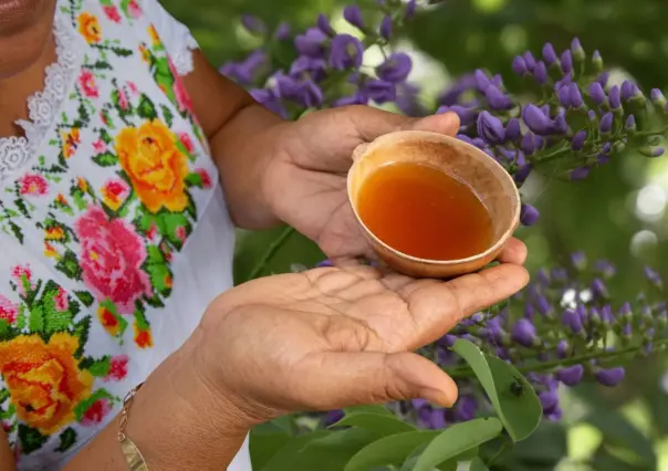 Árbol nativo de Yucatán que sus flores sirven para crear una bebida medicinal