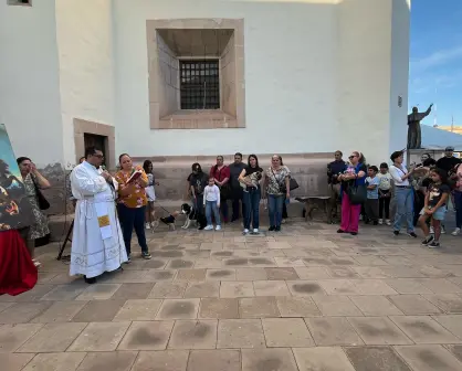 FOTOS | Reúnen a decenas de mascotas en la Catedral por el día de San Jorge