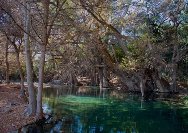Descubre la belleza de El Charco del Lobo en Sabinas Hidalgo, a tan solo 1 hora de Monterrey