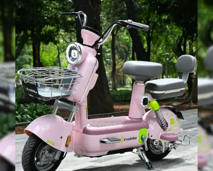 Evobike: los 4 modelos más económicos