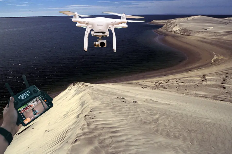 Nat Geo vuela sobre El Vizcaíno: mira el berrendo peninsular de Baja California Sur desde el cielo