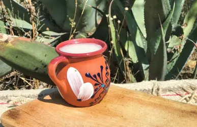 ¿Natural o curado? Llega Feria del Pulque a Ocoyoacac con variedad de sabores