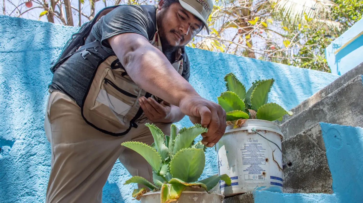 ¿Qué instituciones fueron certificadas como Entornos Libres de Criaderos de Mosquitos?. Foto: Cortesía