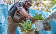 Yucatán certifica 4 espacios libres de criaderos de mosquitos en Sucilá