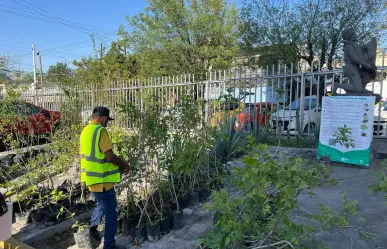 Un bosque en casa: ¿Cómo busca Nuevo León reverdecer sus ciudades?