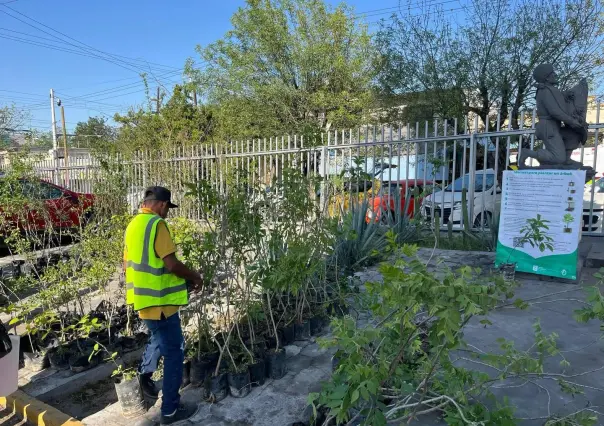 Un bosque en casa: ¿Cómo busca Nuevo León reverdecer sus ciudades?