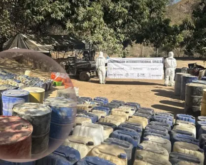 Aseguran 50 millones de pesos en droga y precursores químicos en narcolaboratorios de Durango