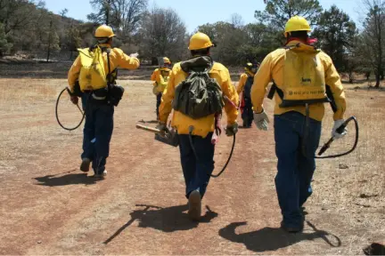 ¿Quiénes combaten los incendios en el bosque de Durango? ¿Quiénes combaten los incendios en el bosque de Durango?
