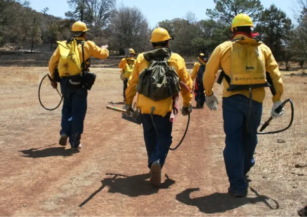 ¿Quiénes combaten los incendios en el bosque de Durango?