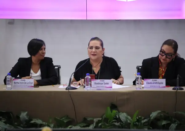 INE lanza plataforma con simulador de voto para las Elecciones del Poder Judicial