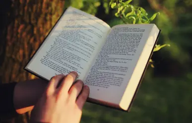 Día del libro: 3 lugares para comprarlos en Saltillo
